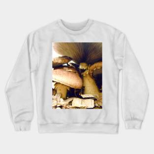 Under Mushroom Crewneck Sweatshirt